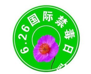 鄉(xiāng)鎮(zhèn)“6.26”國(guó)際禁毒日期間開(kāi)展禁毒宣傳活動(dòng)總結(jié)