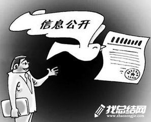 政務(wù)信息公開(kāi)上半年工作總結(jié)2020
