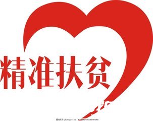 扶貧專干個人工作總結