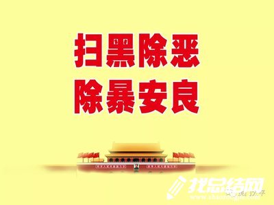 林業(yè)局掃黑除惡專(zhuān)項(xiàng)行動(dòng)工作總結(jié)