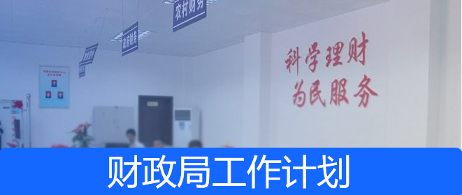 財(cái)政局2019年工作總結(jié)及2020年工作計(jì)劃模板