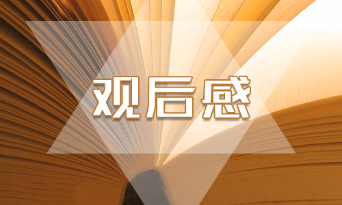 2020感動(dòng)中國(guó)人物黃文秀事跡觀后感個(gè)人感想5篇