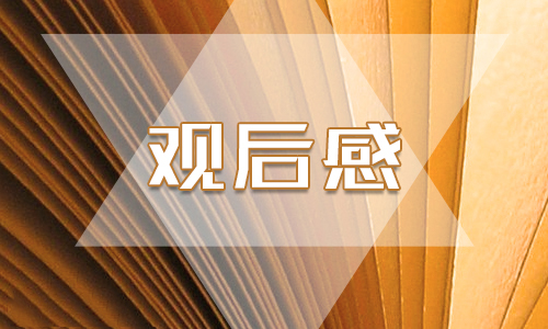 2020感動(dòng)中國人物黃文秀事跡個(gè)人心得體會5篇