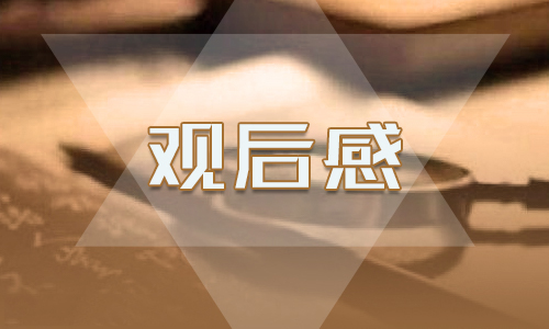 感動(dòng)中國(guó)2020黃文秀人物事跡最新觀后感5篇